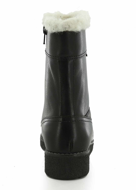 Winterschuhe Damenstiefel isoliert